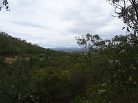 DSC01871