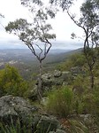 DSC01880
