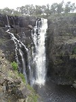 DSC01882