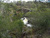 DSC01885