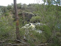 DSC01890