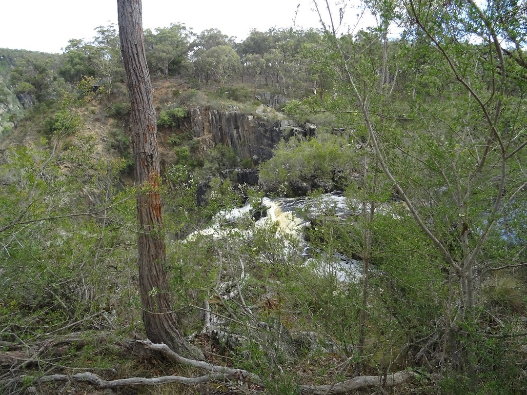 DSC01890
