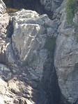 DSC01907