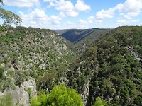 DSC01909