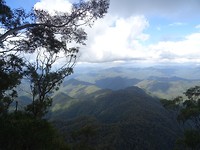 DSC01915