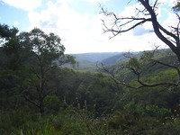 DSC01929
