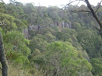 DSC01931