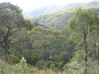 DSC01932