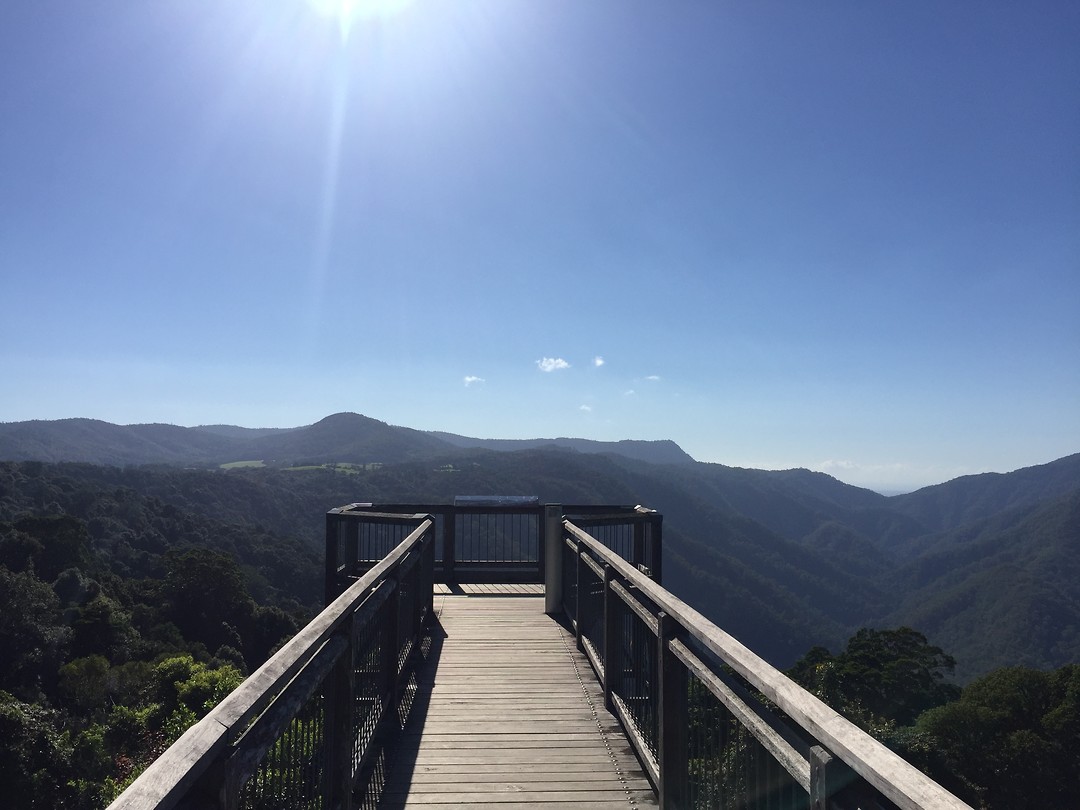 CCC0157C-4B05-4E01-B650-1F3BA95C2C0C