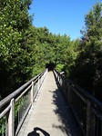 DSC01943