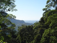 DSC01946