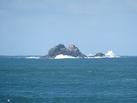 DSC01950