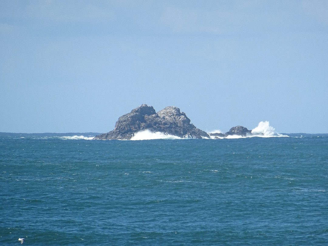DSC01950