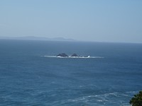 DSC01955