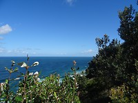 DSC01963