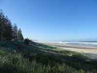DSC01978