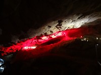 DSC02006