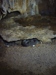 DSC02011