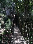 DSC02035