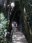 DSC02037