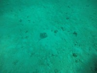 GOPR1521