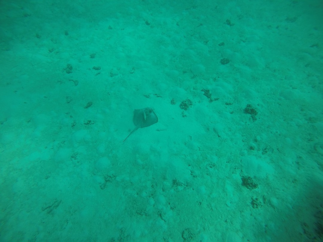GOPR1521