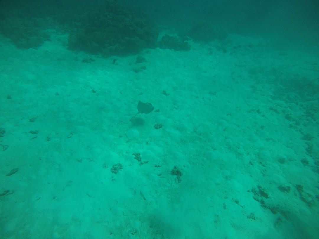 GOPR1522