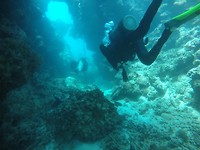GOPR1590