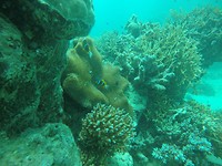 GOPR1609