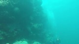 Great barrier reef (Flynn reef)