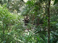 DSC02180