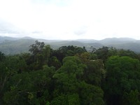 DSC02187