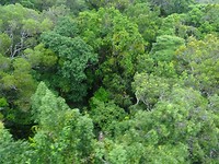 DSC02193