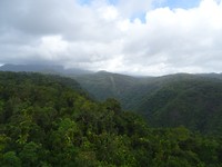 DSC02197
