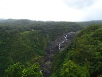 DSC02203
