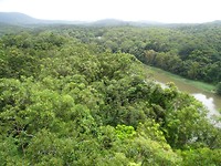 DSC02207
