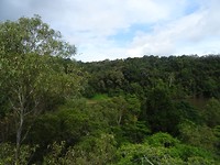 DSC02219