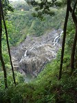 DSC02229