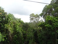 DSC02239