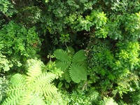 DSC02241