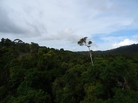 DSC02250