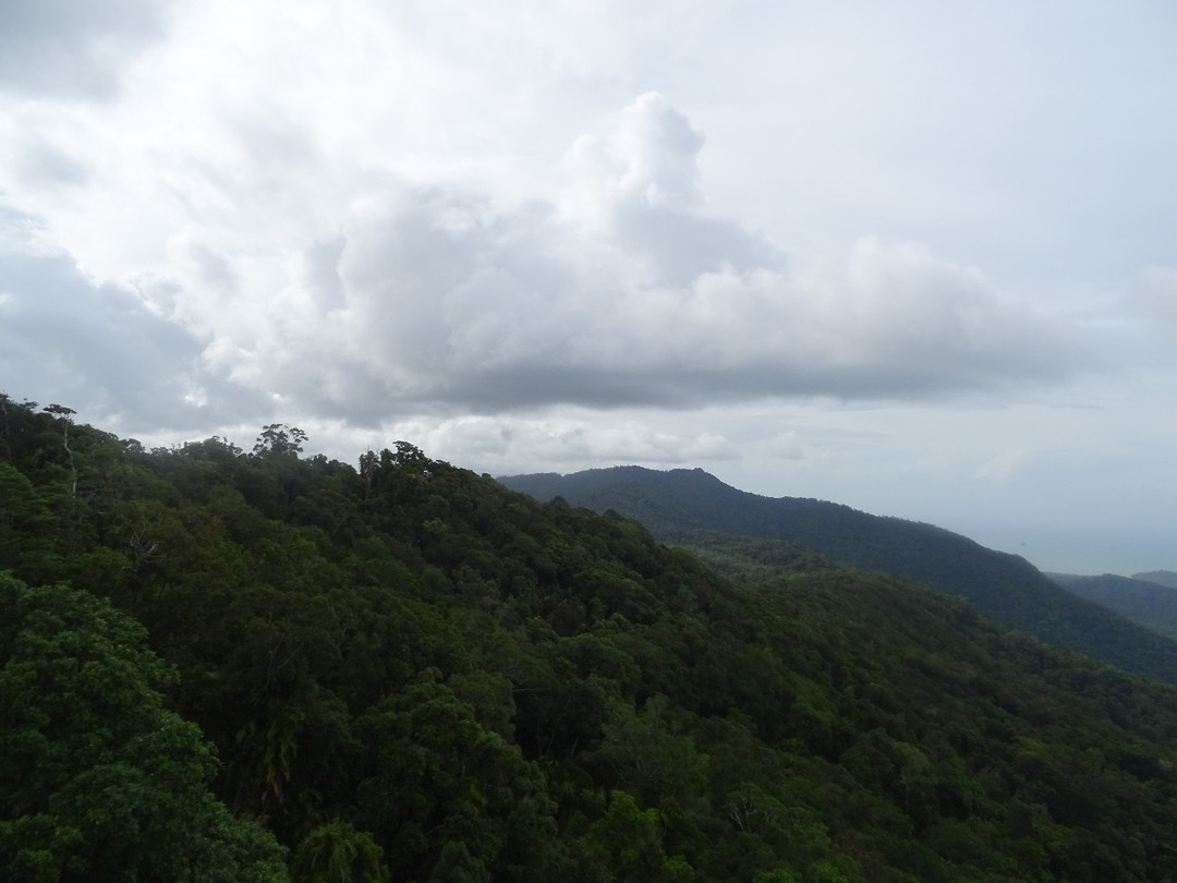 DSC02258