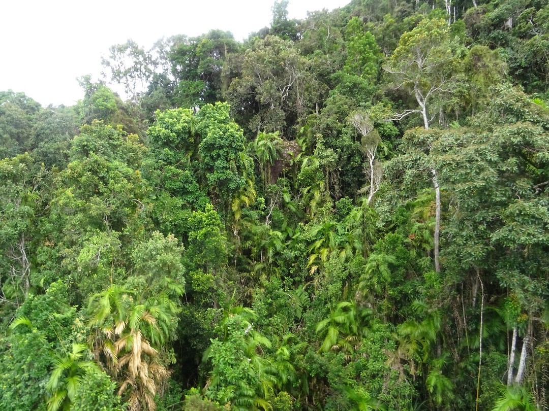 DSC02263