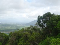 DSC02269