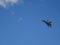 DSC02494