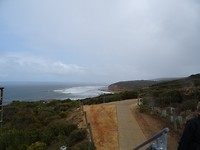 DSC02531