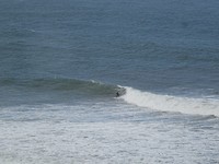 DSC02533
