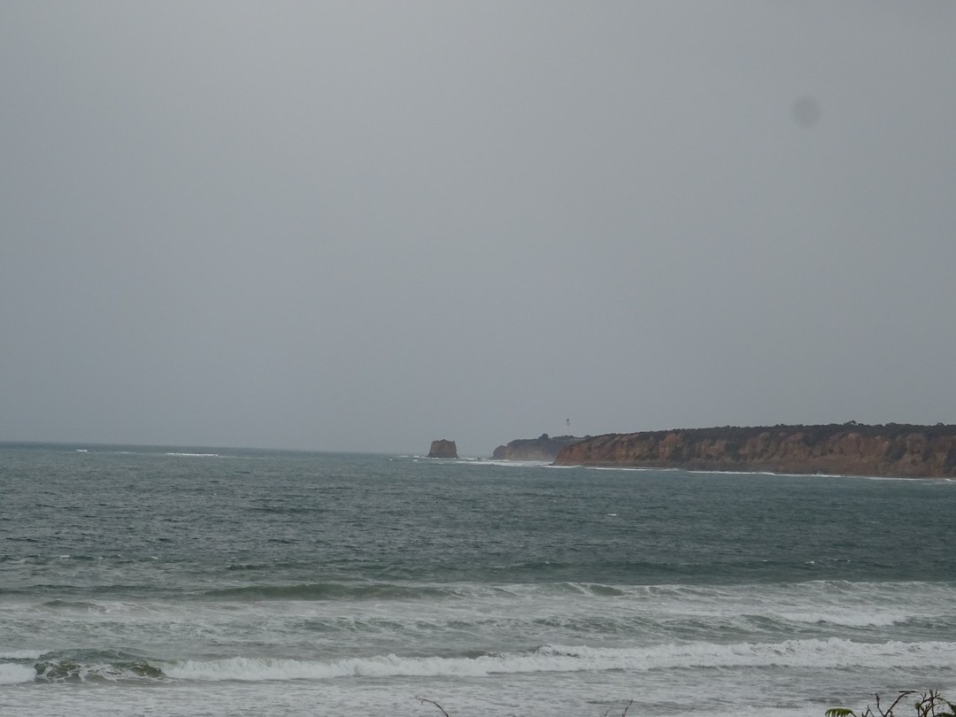 DSC02536