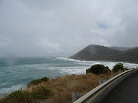 DSC02541