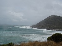 DSC02542